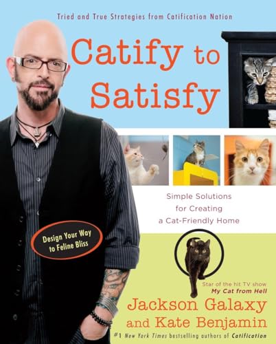Catify To Satisfy: Simple Solutions For Creating A Cat-Friendly Home