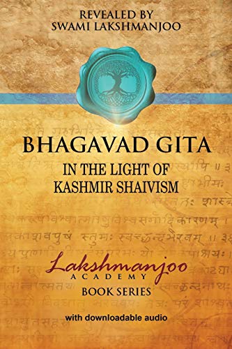 Bhagavad Gita: In The Light Of Kashmir Shaivism