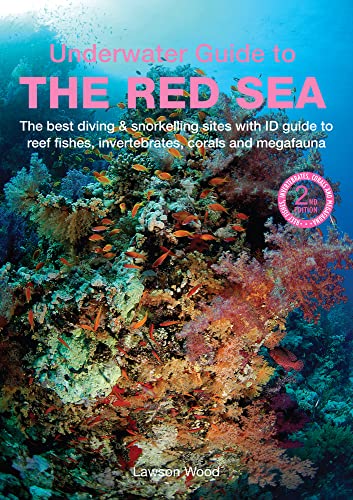 An Underwater Guide To The Red Sea