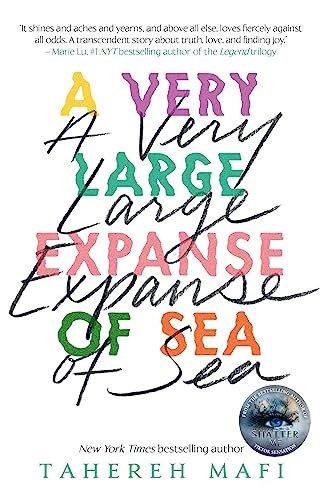 A Very Large Expanse Of Sea: From The Bestselling Author Of The Tiktok Made Me Buy It Sensation, Shatter Me