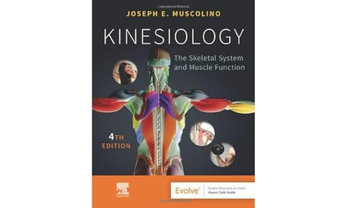 Kinesiology The Skeletal System And Muscle Function
