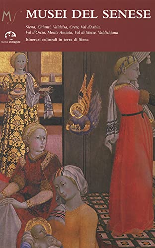 Musei Del Senese. Siena, Chianti, Valdelsa, Crete, Val D'Arbia, Val D'Orcia, Monte Amiata, Val Di Merse, Val Di Chiana. Ediz. Illustrata