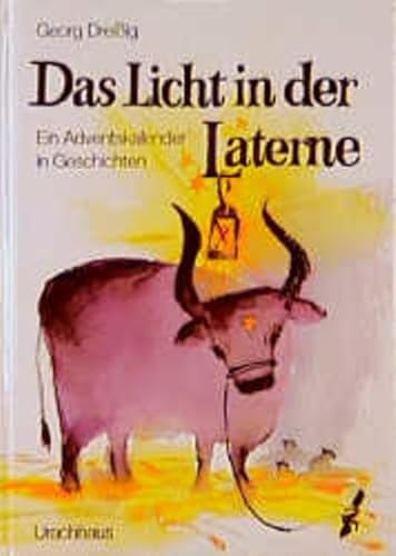 Das Licht In Der Laterne: Ein Adventskalender In Geschichten