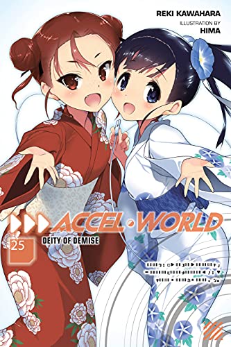 Accel World Light Novel 25