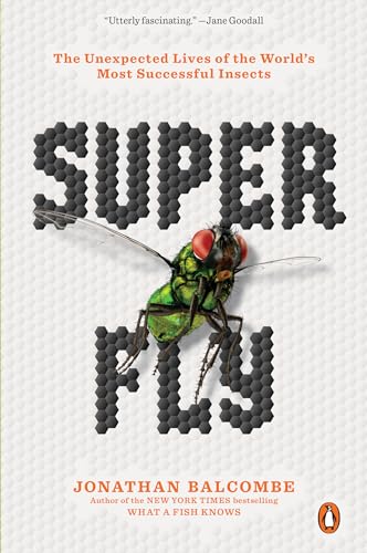 Super Fly: The Unexpected Lives Of The World'S Most Successful Insects