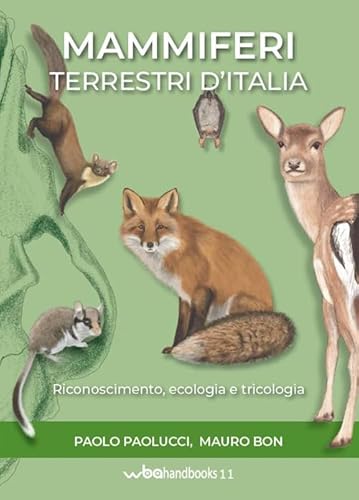 Mammiferi Terrestri D'Italia