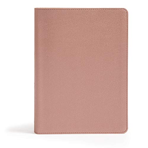 Holy Bible: Csb She Reads Truth Bible, Rose Gold Leathertouch