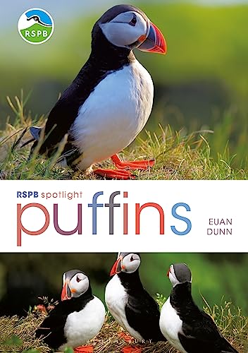 Rspb Spotlight: Puffins