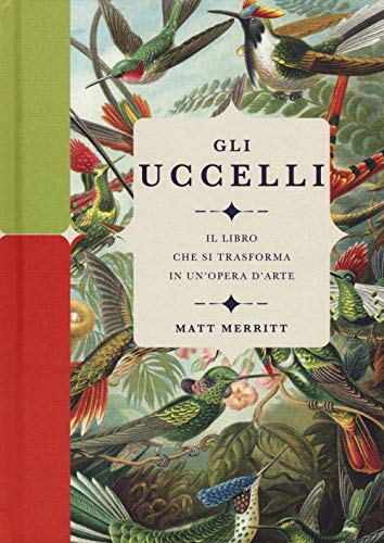 Gli Uccelli. Il Libro Che Si Trasforma In Un'Opera D'Arte. Ediz. A Colori
