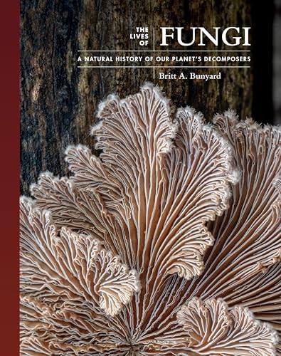 The Lives Of Fungi: A Natural History Of Our Planet'S Decomposers