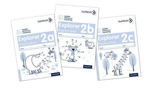 Number, Pattern And Calculating 2 Explorer Progress Books Abc (Mixed Pack)