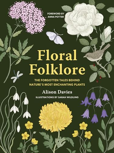 Floral Folklore: The Forgotten Tales Behind Nature’S Most Enchanting Plants