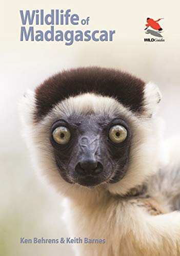 Wildlife Of Madagascar