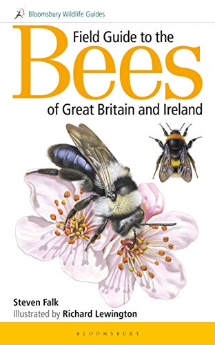 Field Guide To The Bees Of Great Britain And Ireland