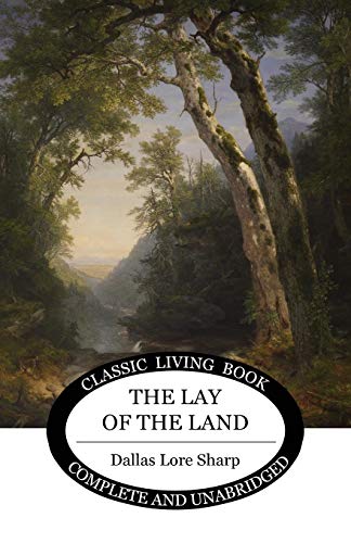 The Lay Of The Land