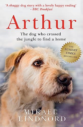 Arthur The King: The Dog Who Crossed The Jungle To Find A Home