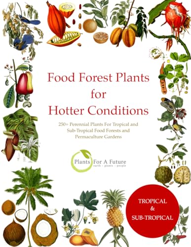 Food Forest Plants For Hotter Conditions: 250+ Perennial Plants For Tropical And Sub-Tropical Food Forests And Permaculture Gardens