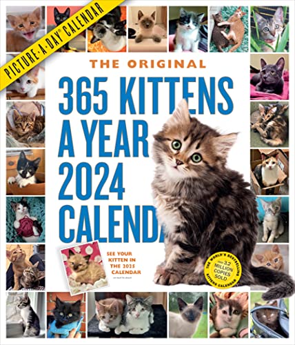 365 Kittens-A-Year Picture-A-Day 2024 Calendar: Absolutely Spilling Over With Kittens