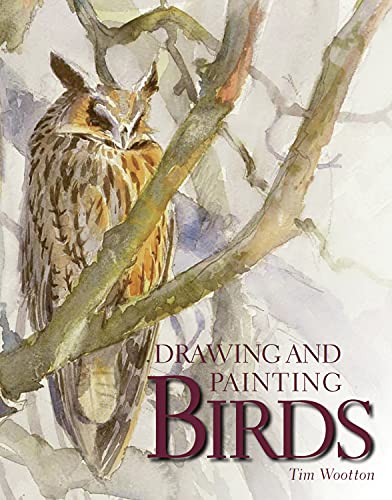 Drawing And Painting Birds