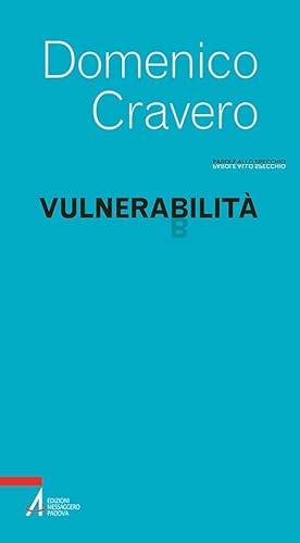 Vulnerabilità