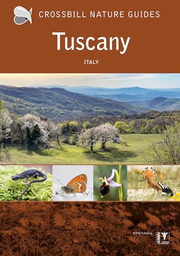 Tuscany: Italy: 42