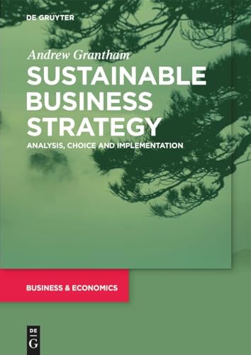 Sustainable Business Strategy: Analysis, Choice And Implementation