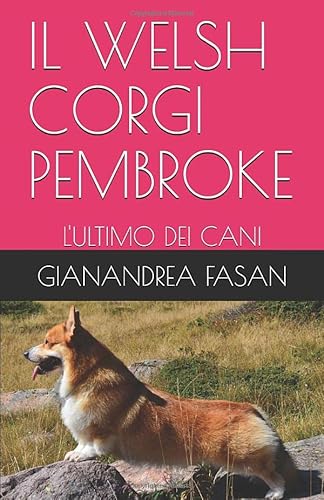 Il Welsh Corgi Pembroke: L'Ultimo Dei Cani