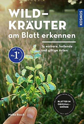 Wildkräuter Am Blatt Erkennen: 74 Essbare, Heilende Und Giftige Arten - Blätter In Originalgröße Abgebildet