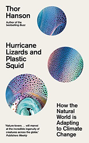 Hurricane Lizards And Plastic Squid: How The Natural World Is Adapting To Climate Change