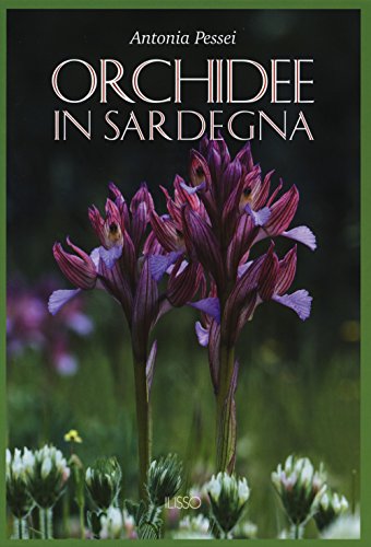 Orchidee In Sardegna. Ediz. Illustrata