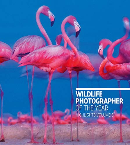 Wildlife Photographer Of The Year: Highlights
