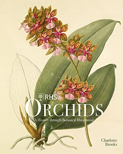 Rhs Orchids: A History Through Botanical Illustration