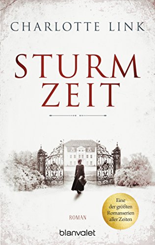 Sturmzeit: Roman: 1