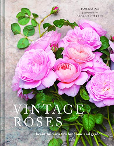 Vintage Roses: Beautiful Varieties For Home And Garden