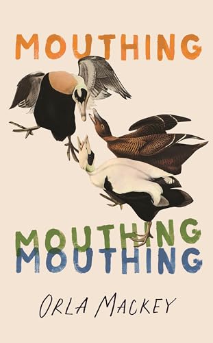Mouthing: The Bestselling Irish Debut Novel Of The Summer