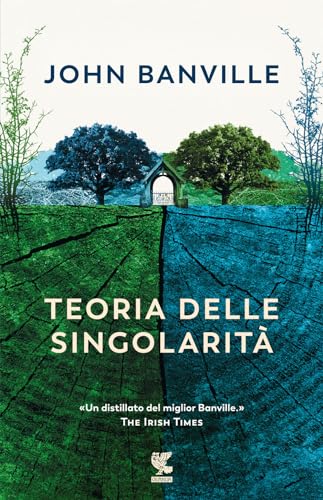 Teoria Delle Singolarità