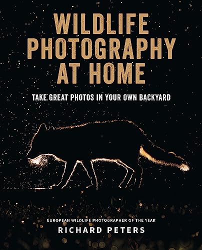 Wildlife Photography At Home: Take Great Photos In Your Own Backyard