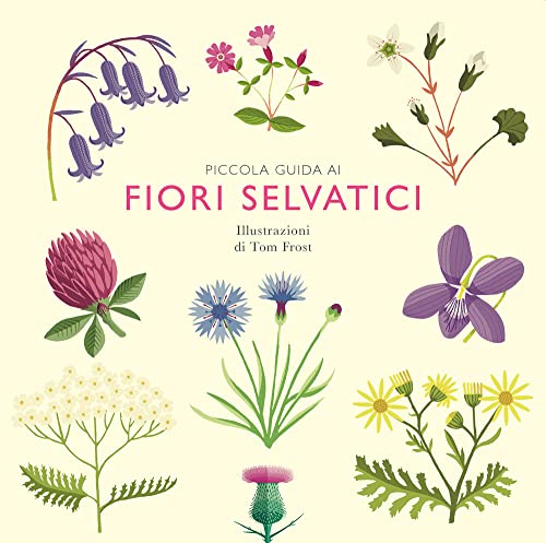Piccola Guida Ai Fiori Selvatici