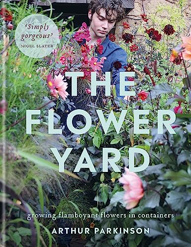 The Flower Yard: Growing Flamboyant Flowers In Containers