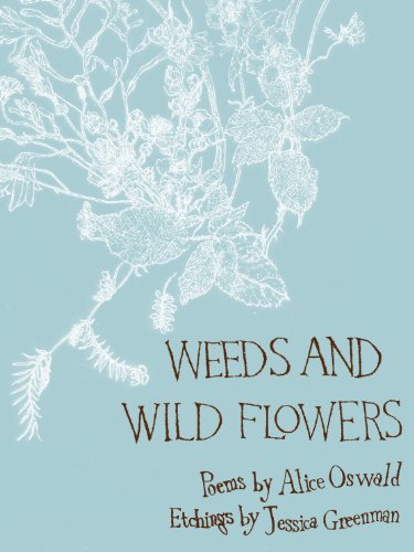 Weeds And Wild Flowers