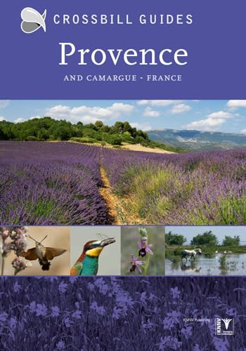 Provence And Camargue - France: France: 26