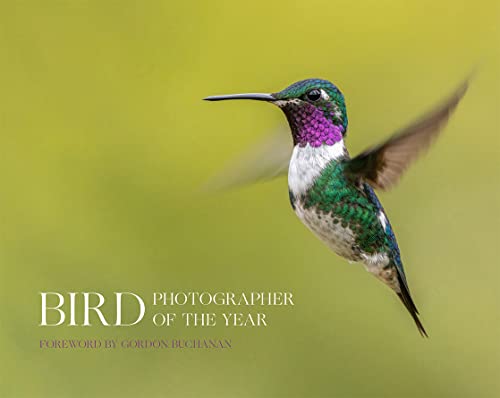 Bird Photographer Of The Year
