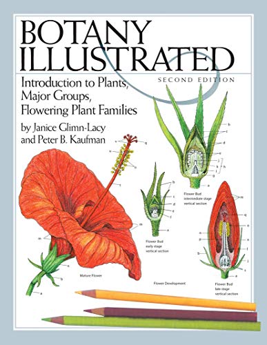 Botany Illustrated: Introduction To Plants, Major Groups, Flowering Plant Families