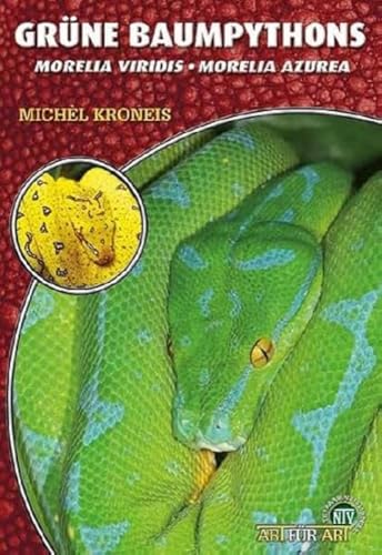 Grüne Baumpythons: Morelia Viridis - Morelia Azurea