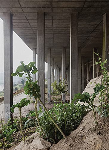 Notes From The Underdog: Agriculture For Subsistence In Porto