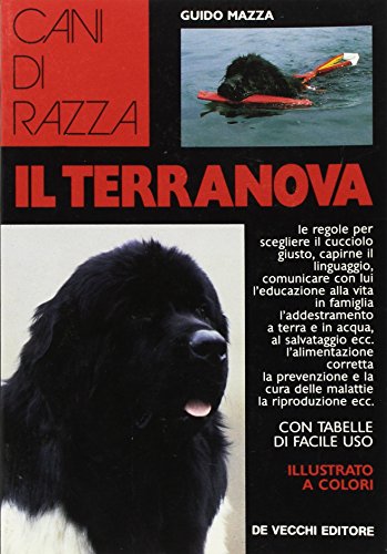 Il Terranova