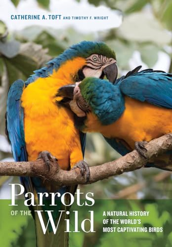 Parrots Of The Wild: A Natural History Of The World'S Most Captivating Birds