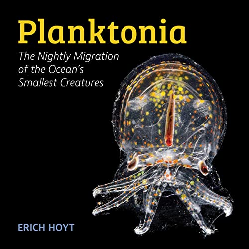 Planktonia: The Nightly Migration Of The Ocean'S Smallest Creatures