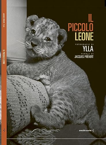 Il Piccolo Leone. Ediz. Illustrata