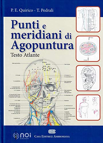 Punti E Meridiani Di Agopuntura